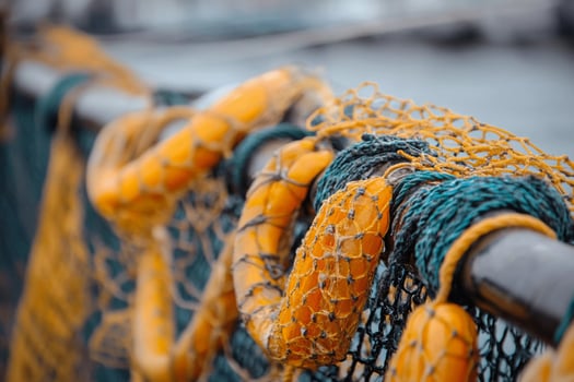 Fishing nets hung out to dry on a boat dock near the coast in the early morning light photo