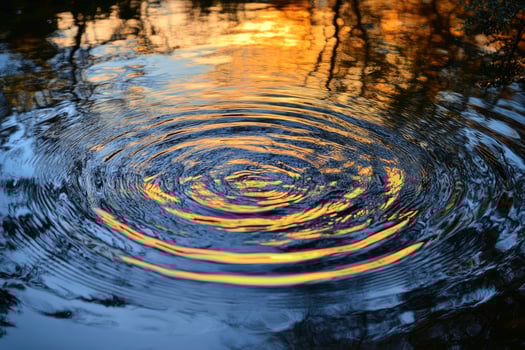 Water Ripples Reflecting Golden Light with Tree Silhouettes Creates a Calm Scene photo