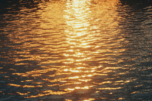 Golden Sunlight Reflecting on Water Surface Creating Beautiful Shimmering Patterns photo