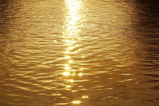 Sunlight Reflecting on Water Creating a Golden Shimmering Surface photo