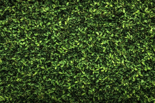 Green Leaves Seamless Background Surface Texture for Natural Fresh Element photo