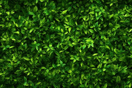 Dense Green Leaves Pattern Texture Background for Natural Design Projects photo
