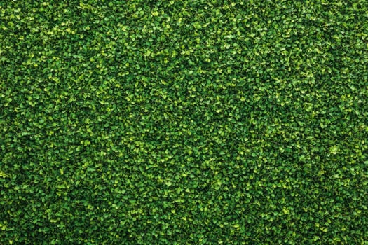 Dense Green Leaf Wall Provides a Lush Natural Background for Design photo