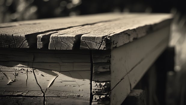 A close up of a wooden bench with a tree in the background photo
