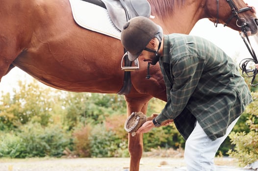 Setting, up equipment for the ride. Young man with a horse is outdoors. photo