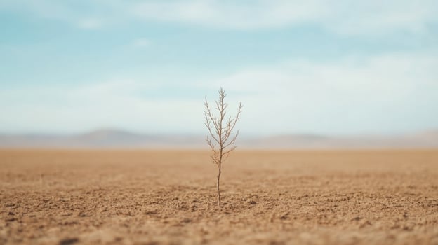 small withered plant stands resiliently in middle of barren desert landscape, symbolizing survival and hope against backdrop of clear blue sky and distant mountains photo