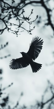 Silhouetted Bird in Flight Against Cloudy Sky and Branches photo