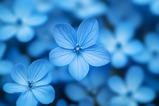 Delicate blue flowers creating stunning floral background photo