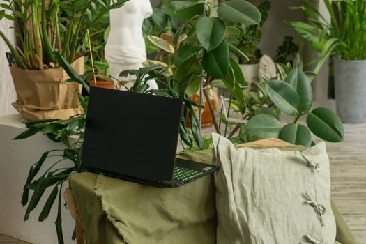 black laptop in room. A fragment of the interior with a variety of indoor plants and plaster sculptures. Urban jungle concept. Biophilia design. photo
