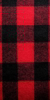 Red and black buffalo plaid fabric pattern with classic checkered design and bold colors photo