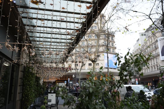 Twinkling string lights and greenery on Parisian cafe terrace in city street photo