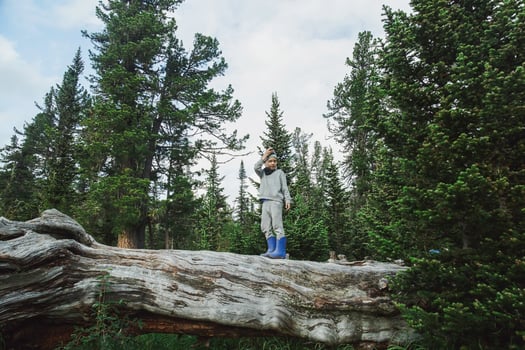 Tiny Explorer on Giant Fallen Tree in Enchanted Pine Forest Wilderness. photo