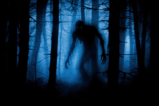 Creepy Monster Silhouette in Forest Fog Creating a Suspenseful Atmosphere photo