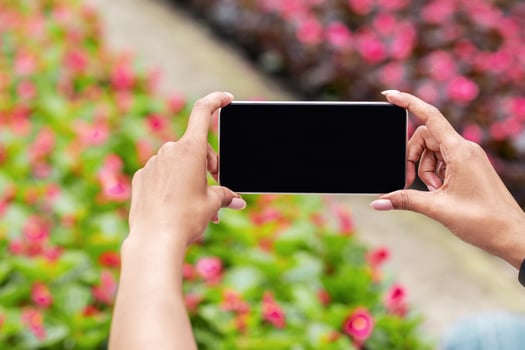 Blooming garden and modern gadgets. African american girl holds smartphone with empty screen and makes photo of flower plantation in greenhouse, cropped