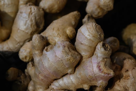 Fresh organic ginger roots piled together in a dimly lit market stall ready for culinary use photo