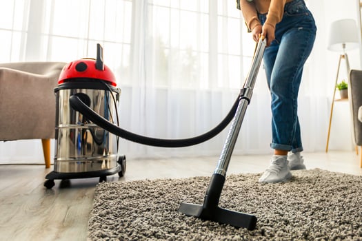 A young woman is actively vacuuming the carpet in her cozy and stylish living room, capturing a moment of diligent housekeeping in a light-filled space with large windows. photo