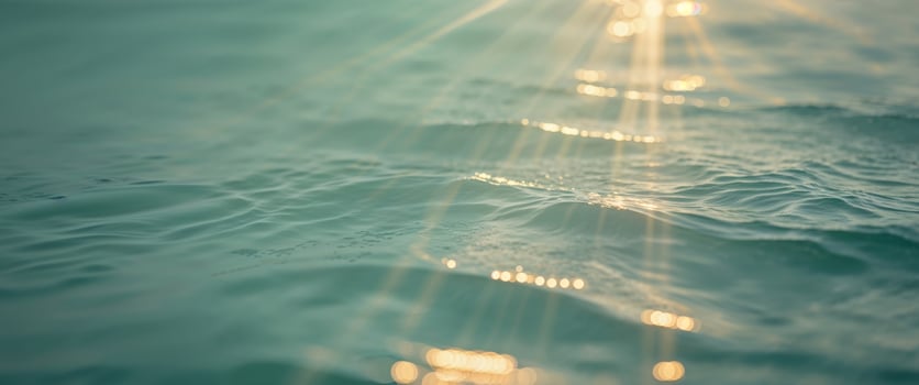 Sunlight shining through the water on a beach photo