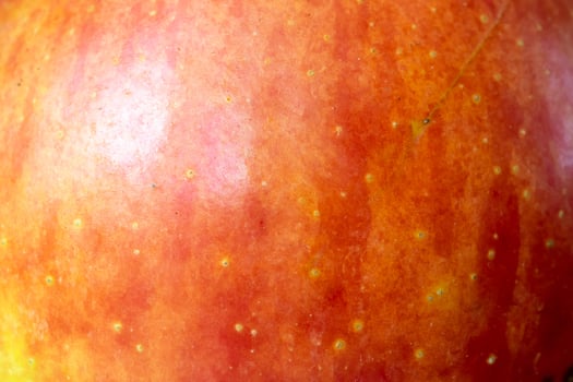 red apple skin with visible details photo