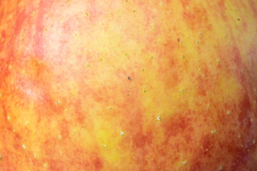 red and yellow apple skin photo