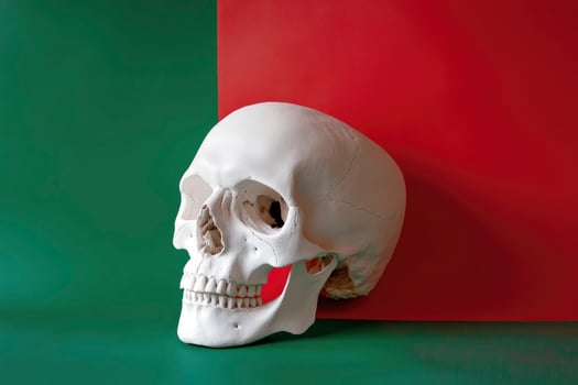 White Skull on Green and Red Background Still Life Portrait photo