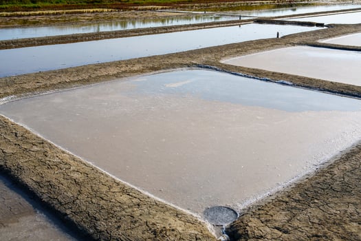 The vibrant salt evaporation ponds, defined by natural ridges, create a stunning visual in the salt flat landscape. Seawater is evaporated by sunlight, highlighting nature s colorful beauty. photo