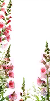 Pink and white flowers are arranged in a frame photo
