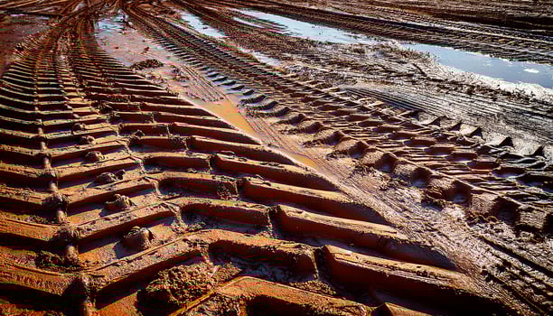 Tire Tracks on Muddy Terrain After Rainfall in Rural Field During Daytime photo