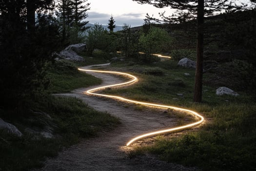 A path lit by light in the woods photo