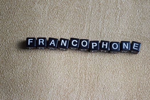 Concept of Francophone written on wooden blocks. Cross processed image on Wooden Background photo