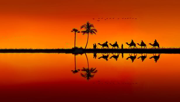 A group of camels are reflected in the water at sunset photo