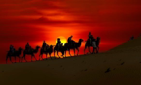 A group of people riding on horses in the desert photo