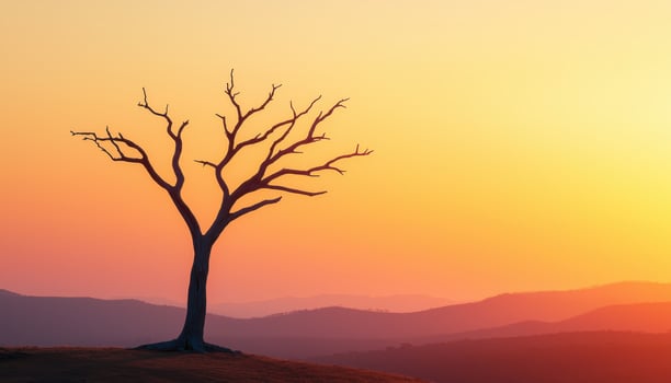 Silhouetted Dead Tree on Hill at Sunset Nature Photography with Background Copyspace photo