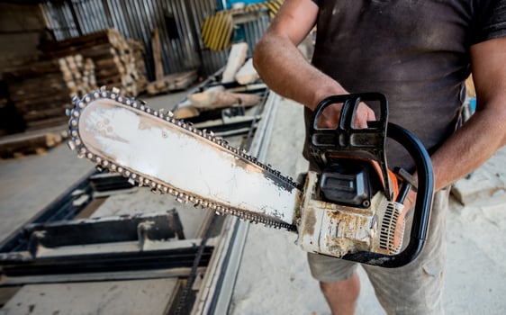 Woodcutter cutting tree with chainsaw on sawmill. Modern sawmill photo