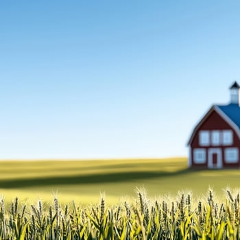 A red barn sits in the middle of a field photo