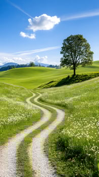 Winding gravel road crossing idyllic green meadow in summer photo