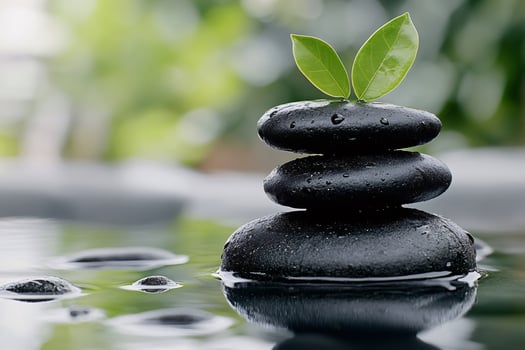 Balancing stones with green leaves growing on top in a zen atmosphere photo