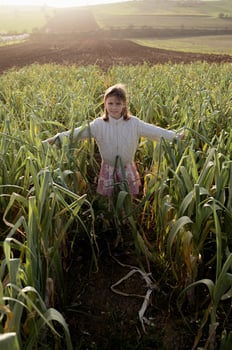 Young girl touching leek leaves in sunset light. A child in a rural landscape gently runs her fingers over the tall green leeks, enjoying the quiet moment at sunset. photo