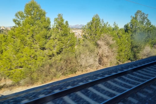 Scenic Train Journey Through Lush Pine Forest with Mountain Views photo