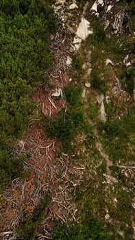 Deforestation threatening the high tatras mountains in slovakia photo