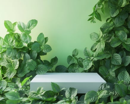 An empty box surrounded by green plants photo