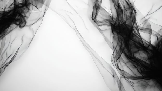 Sheer Black Fabric Against White Background photo