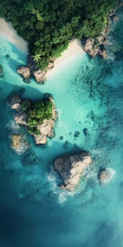 An aerial view of a tropical island with green trees photo