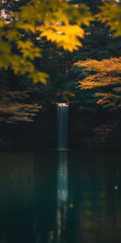 A waterfall in the middle of a forest with yellow leaves photo