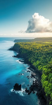 An aerial view of the ocean and lush green vegetation in hawaii photo