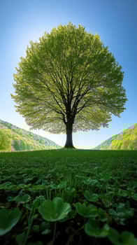 A solitary tree surrounded by lush greenery. photo