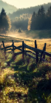 A fence in a field with trees and grass photo