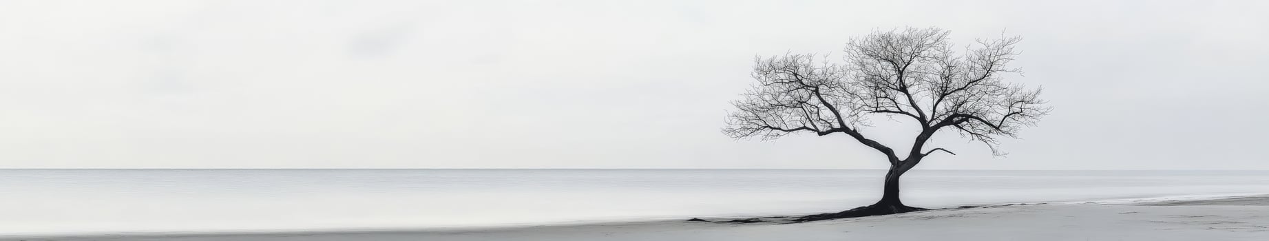A lone tree stands on the shore of a lake photo