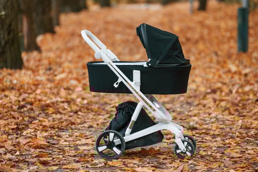 Black, pram is in the autumn forest at daytime photo