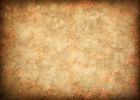 Animal Skin Parchment Grunge Texture photo