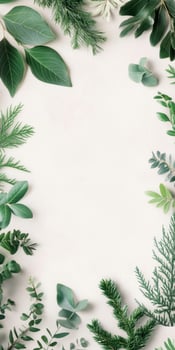 Vibrant greenery border featuring diverse leaves and foliage on white background for nature inspired designs photo